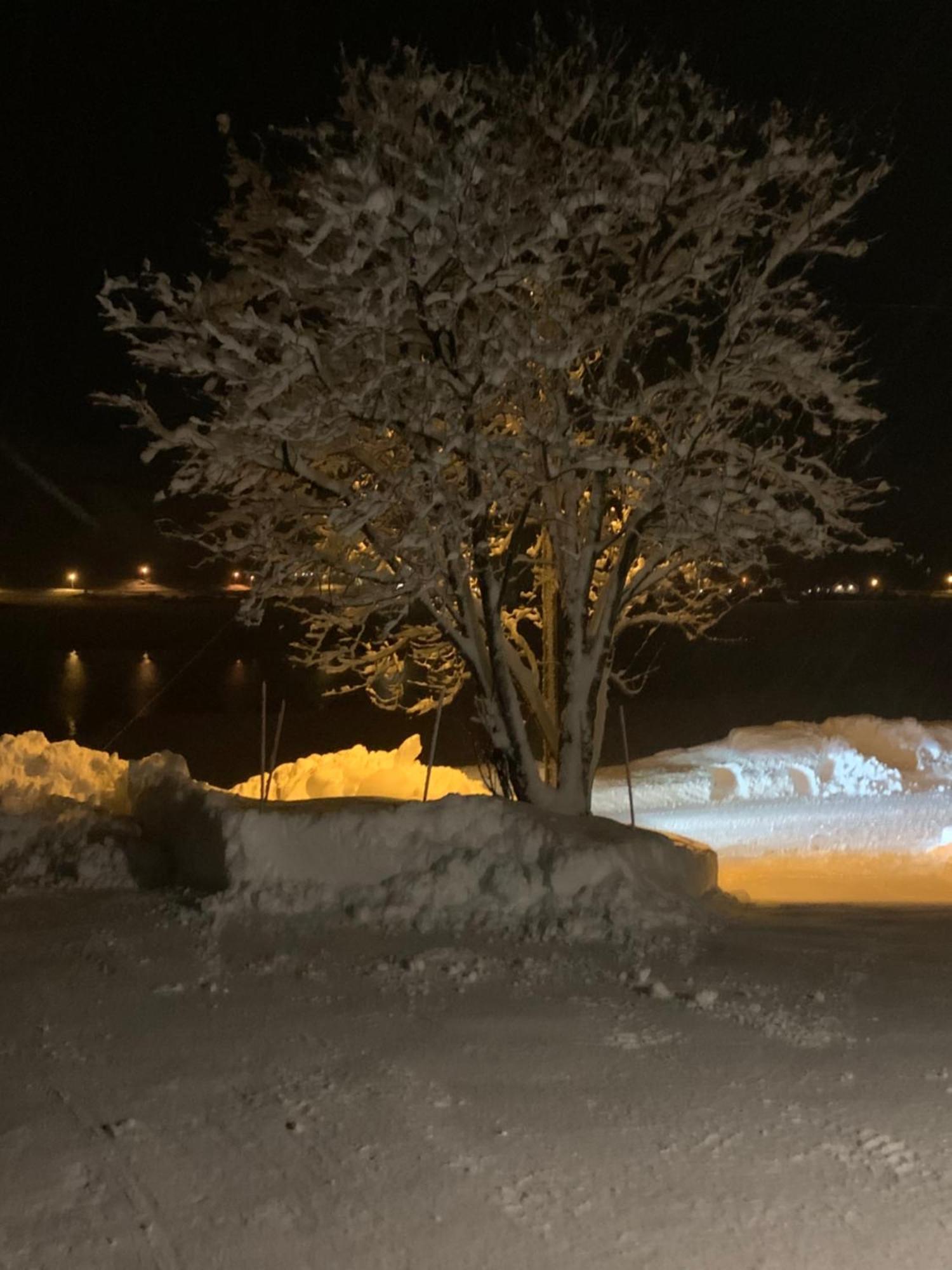 Appartamento Liten Leilighet Inkludert Frokost Valberg Esterno foto